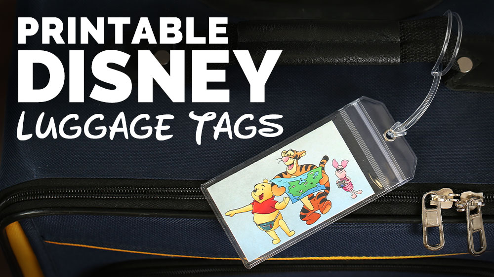 disney bag tags