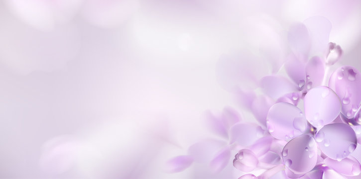 floral violet background