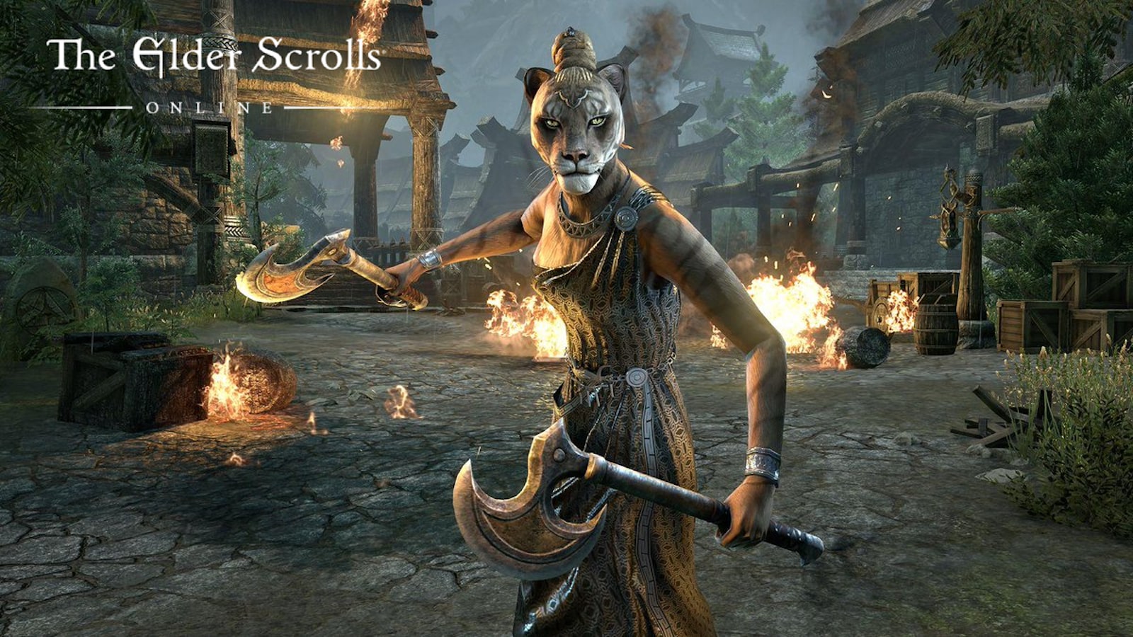 elder scrolls online best class