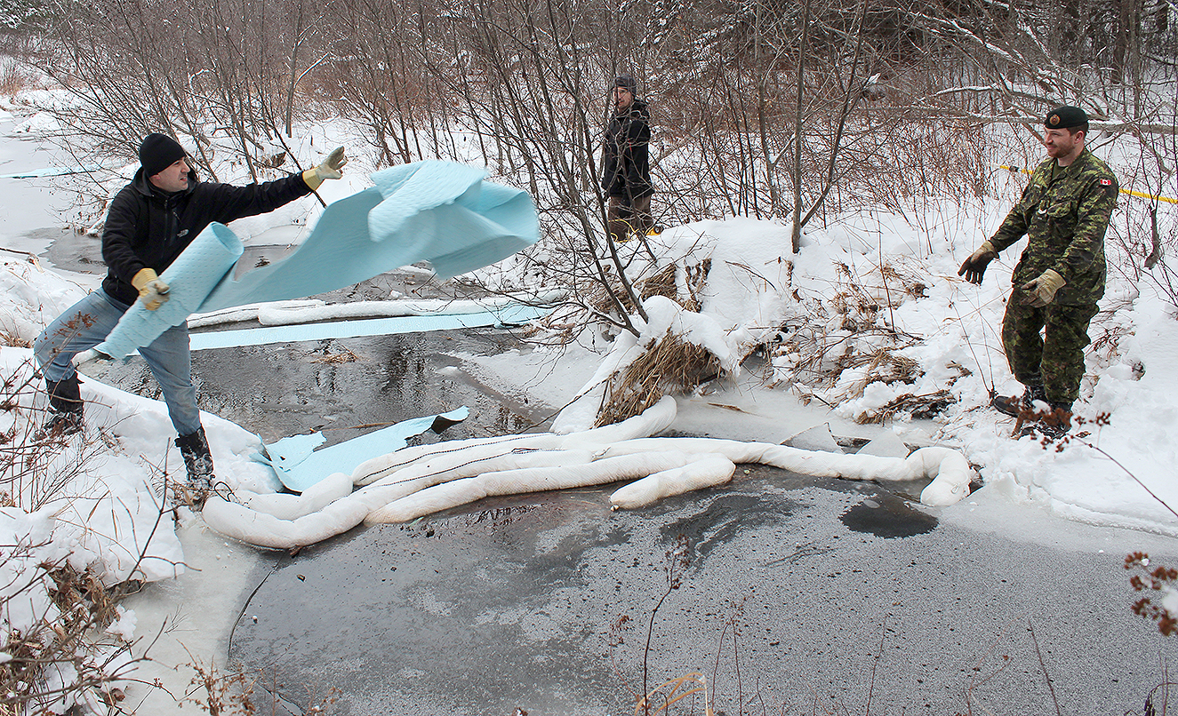 environment canada greenwood