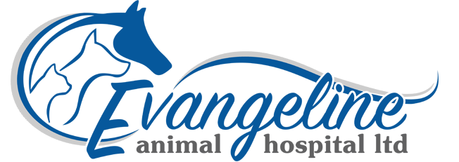 evangeline veterinary clinic