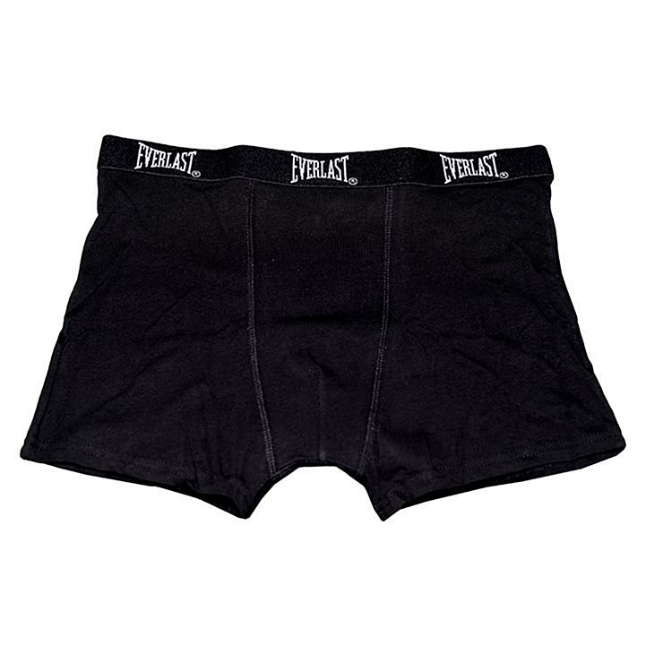 everlast mens briefs