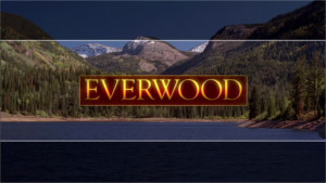 everwood tv