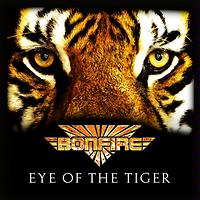 eye of the tiger mp3