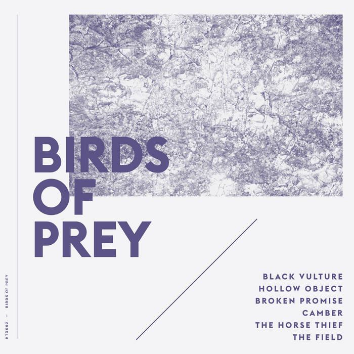 download birds of prey album