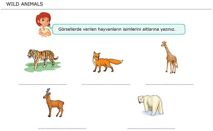 ingilizce hayvan karşılaştırma cümleleri