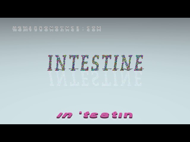 intestine british pronunciation