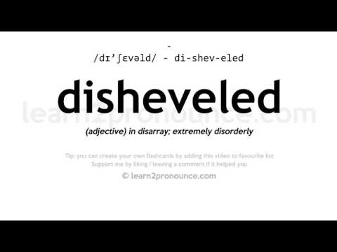 disheveled meaning