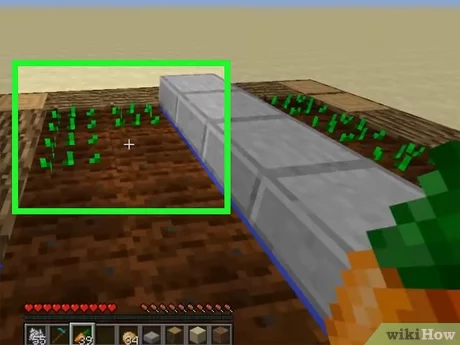 how to grow seeds in minecraft