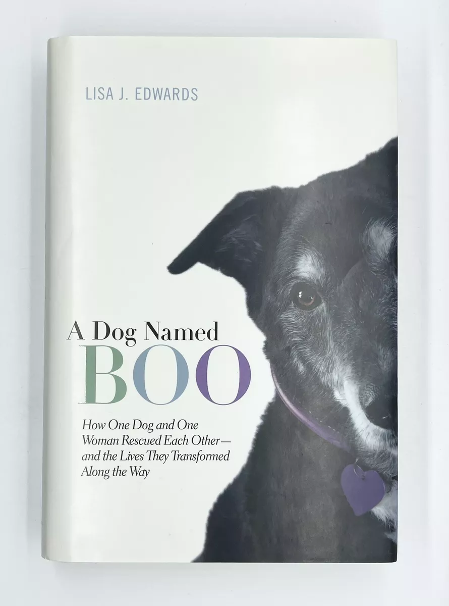 a dog named boo