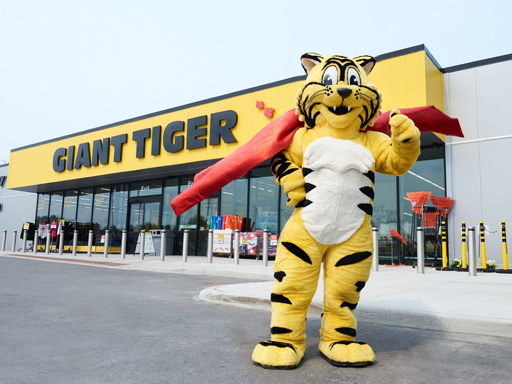 giant tiger edmonton