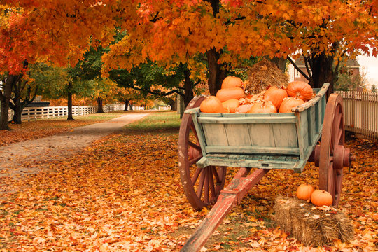fall scene image