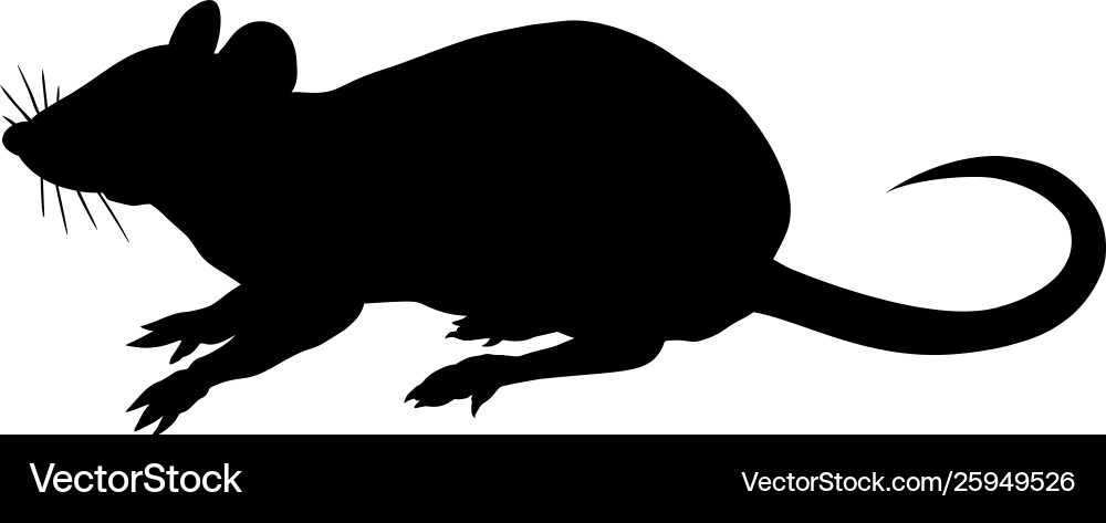 silhouette of rat