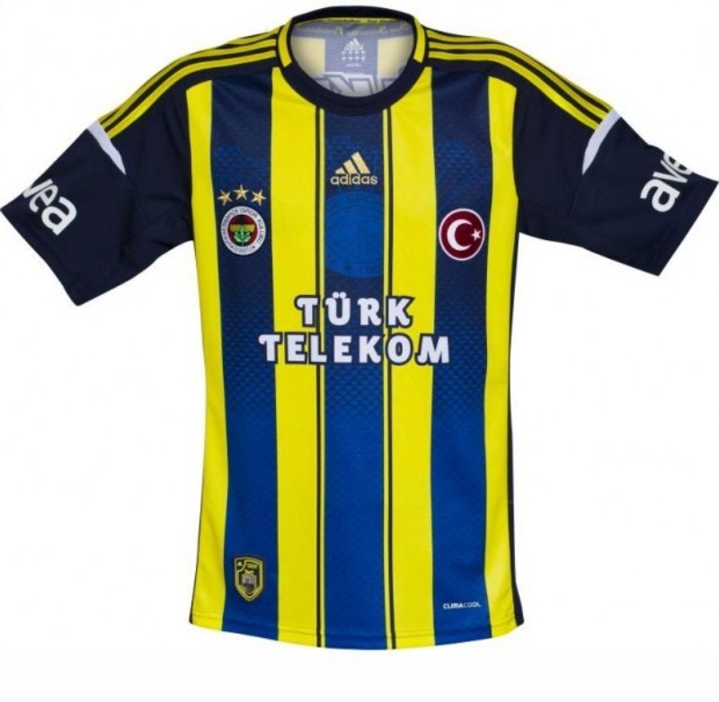 fenerbahçe 2012 2013 sezonu