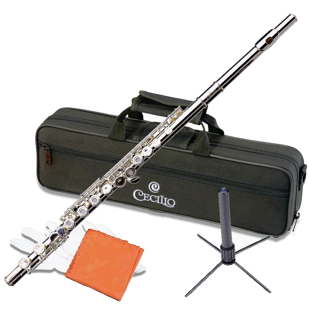 flute price for beginners