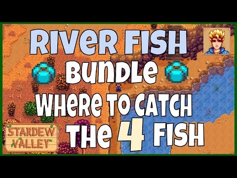 fishing bundle stardew