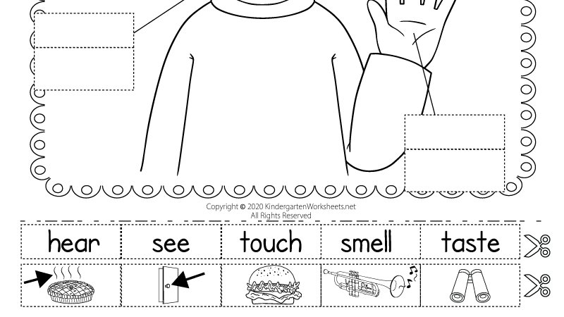 five senses cut and paste worksheets