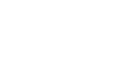 flair airlines flight status