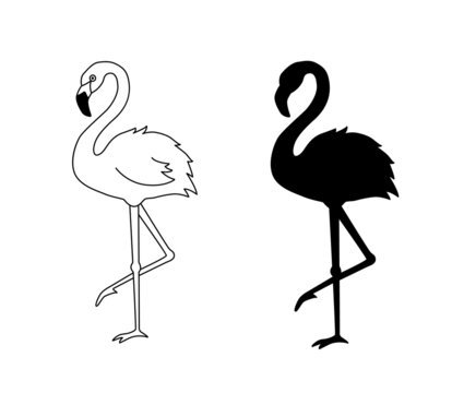 flamingo outline