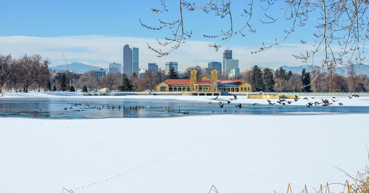 flights from billings mt to denver co