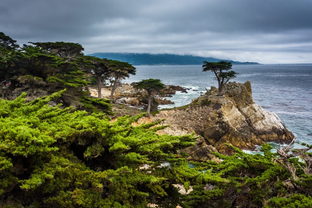 flights to pebble beach