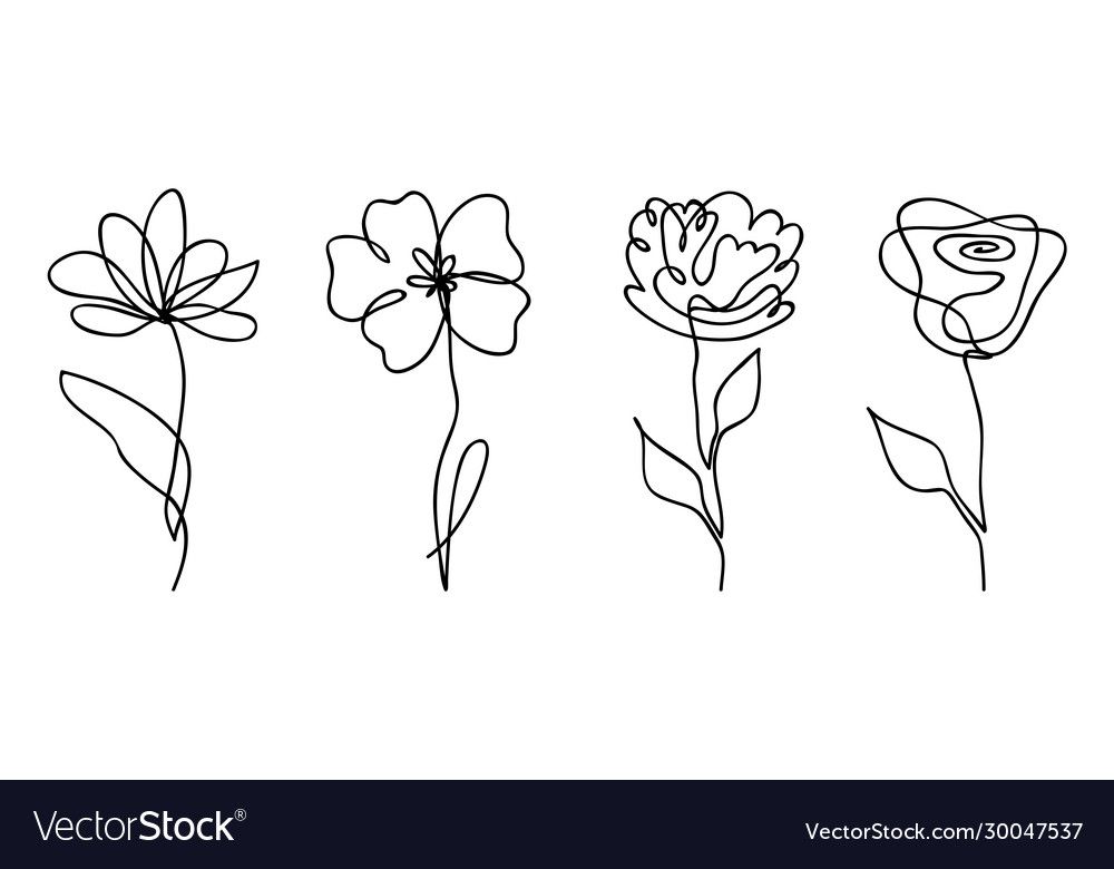 flower line art