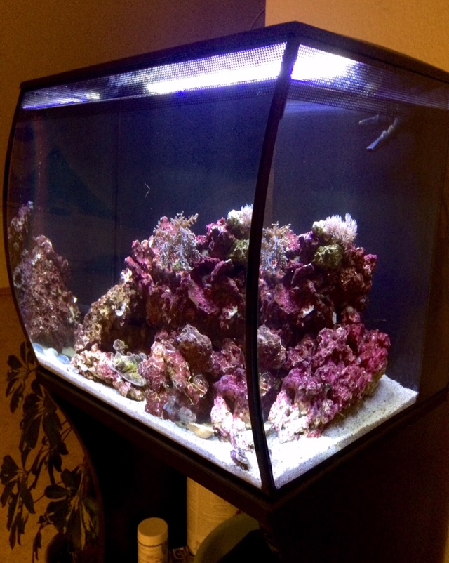 fluval flex 57l erfahrungen