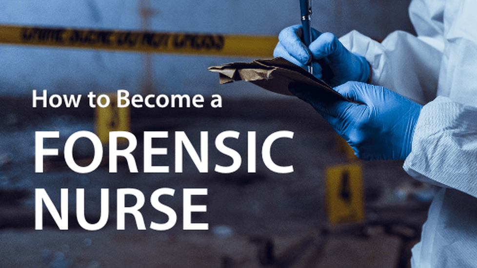 forensic salary canada