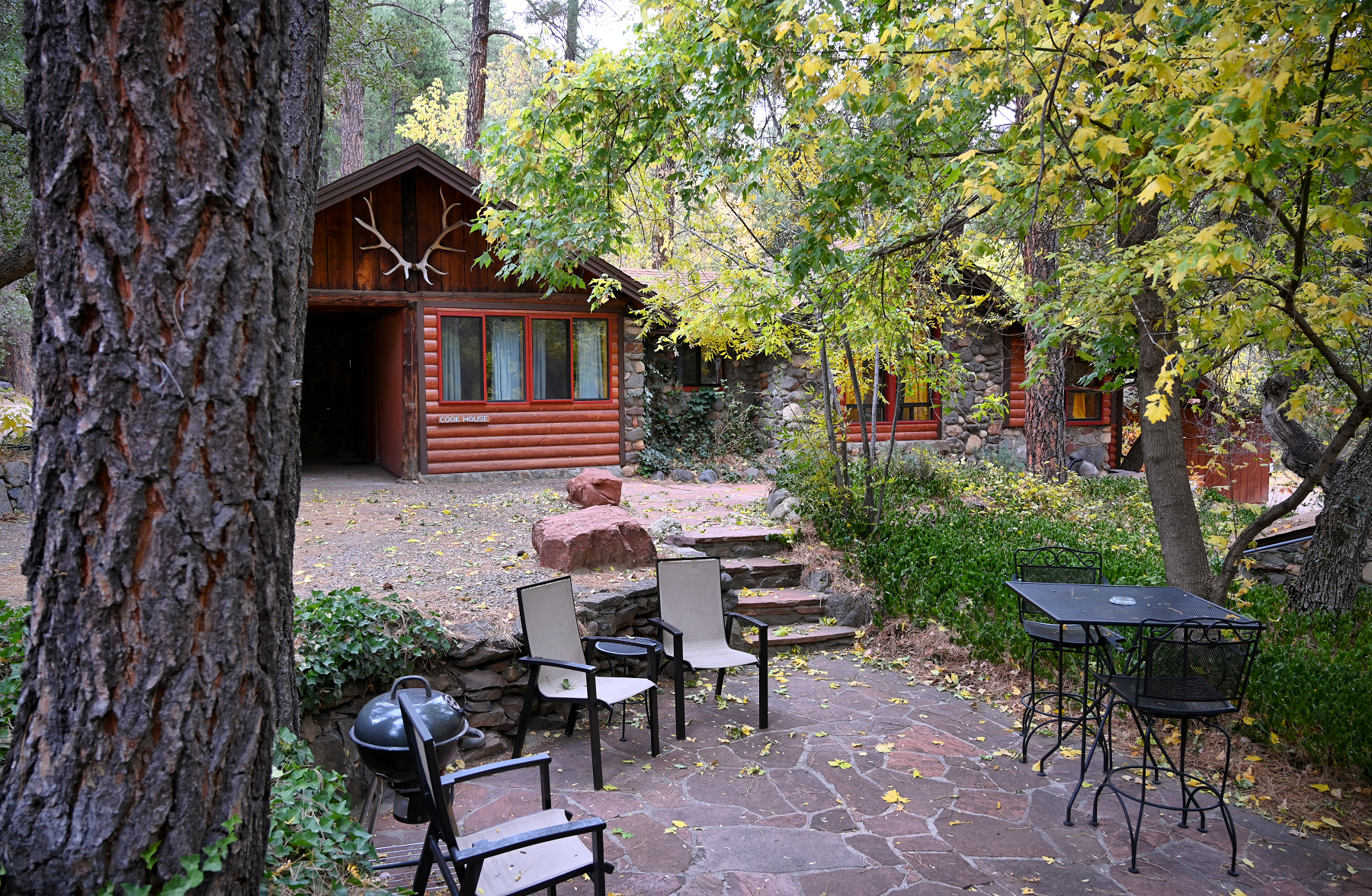 forest houses resort sedona