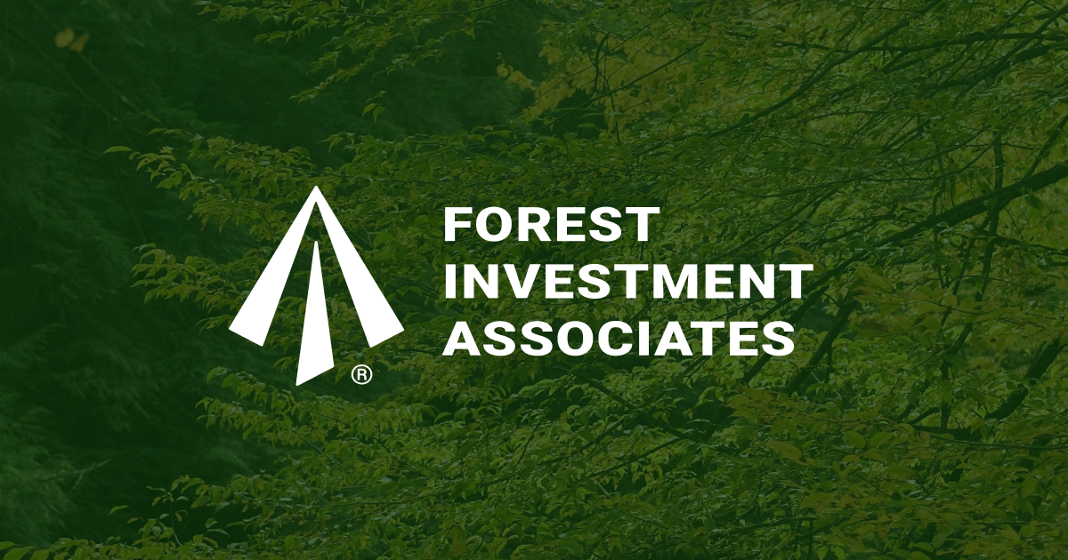 forest investment associates news