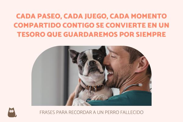 frases perritos fallecidos