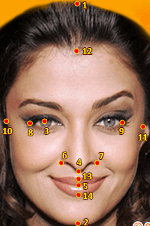 golden ratio face calculator