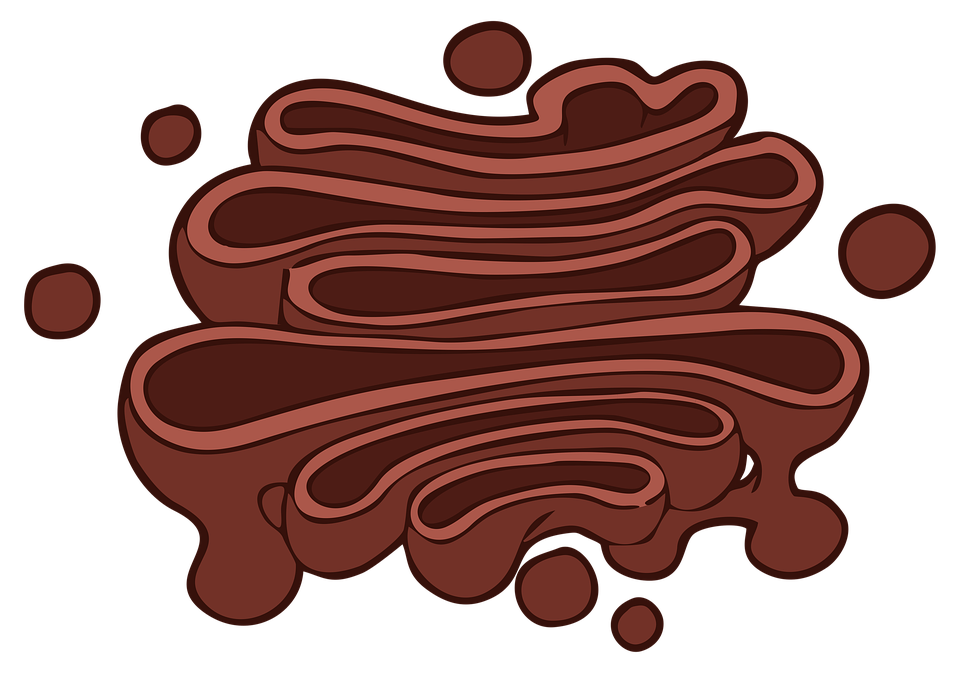 golgi apparatus clipart