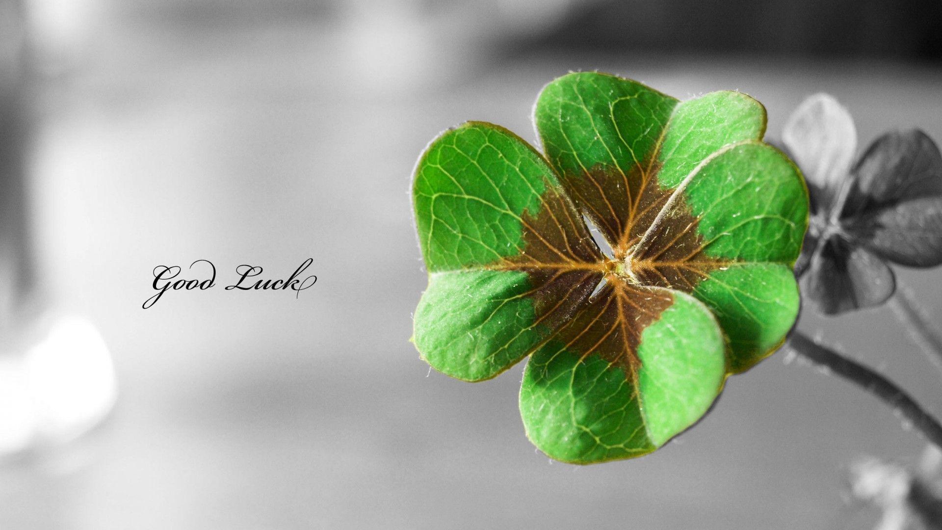 good luck wallpaper hd