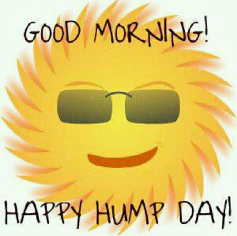good morning happy hump day