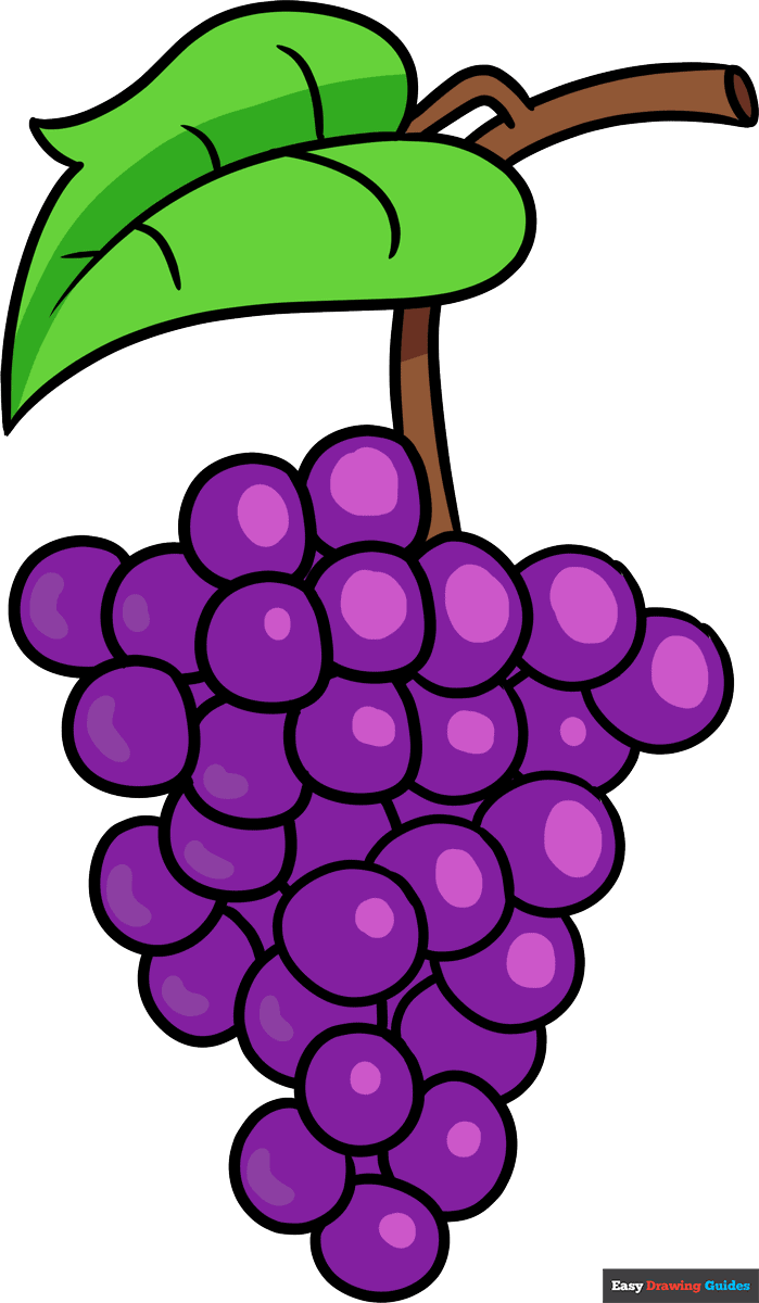 grapes images for kids