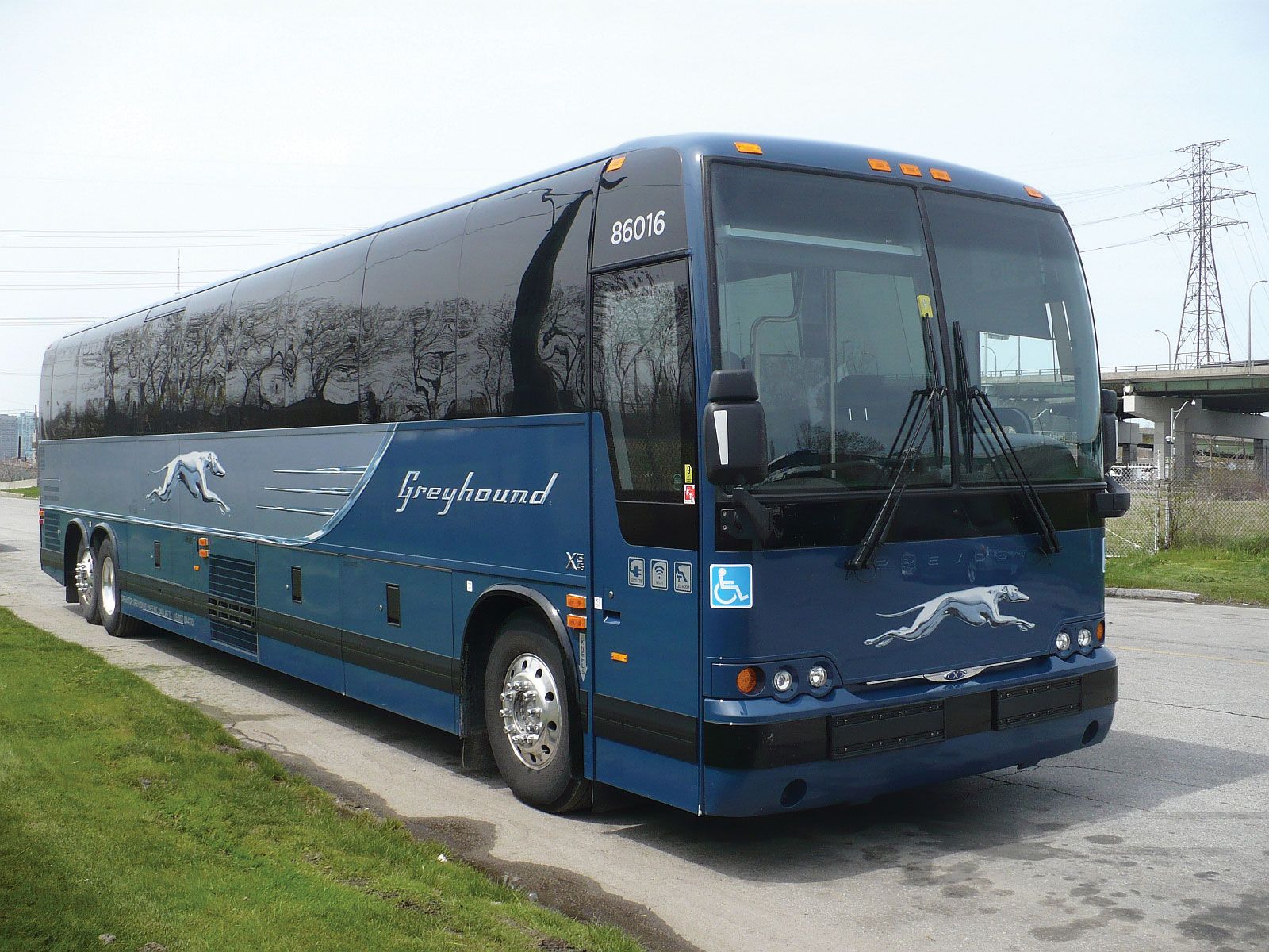 greyhound bu