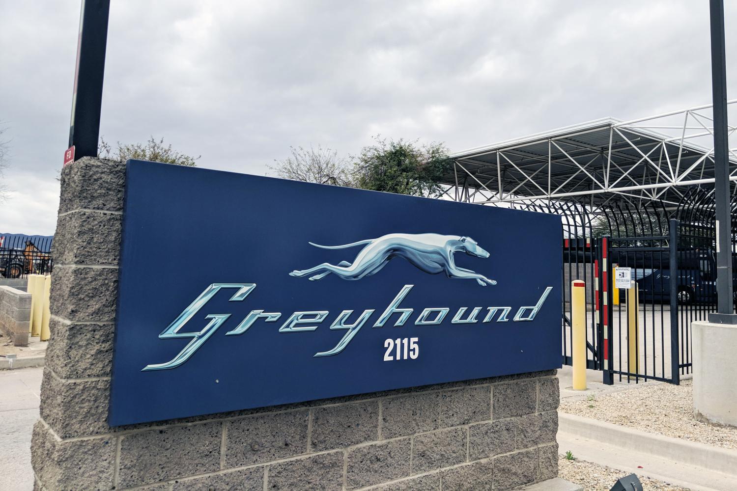 greyhound phoenix