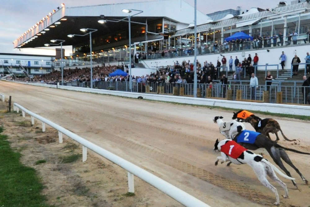 greyhound track mullingar