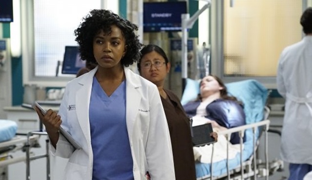 greys anatomy 12 sezon 11 bölüm