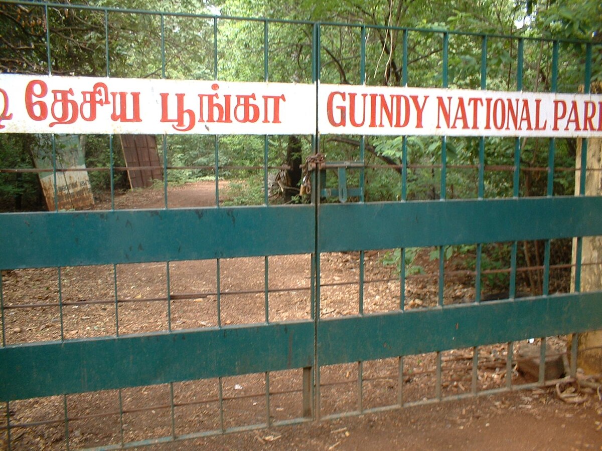 guindy national park timings today