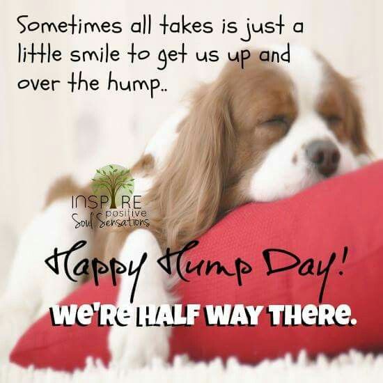 happy hump day quotes