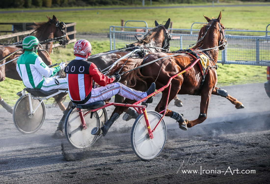 harness racing entries