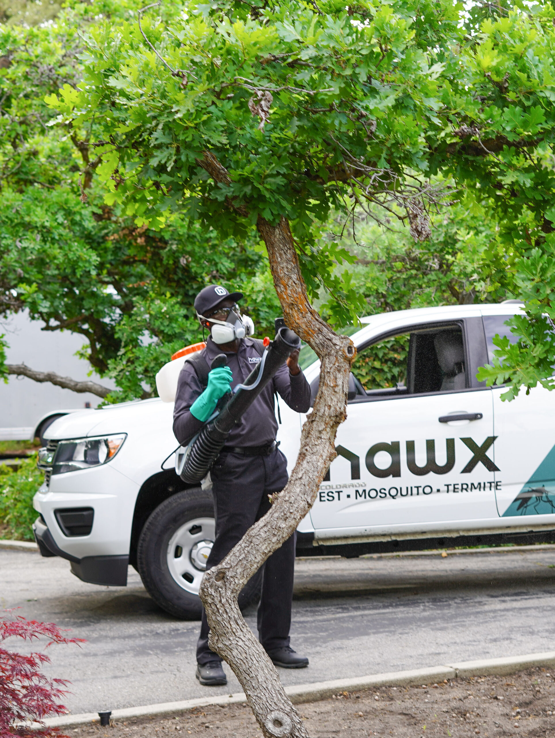 hawx pest control