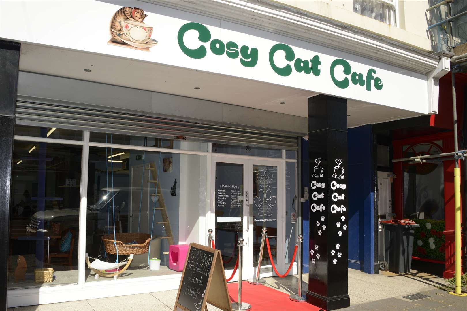 herne bay cat cafe