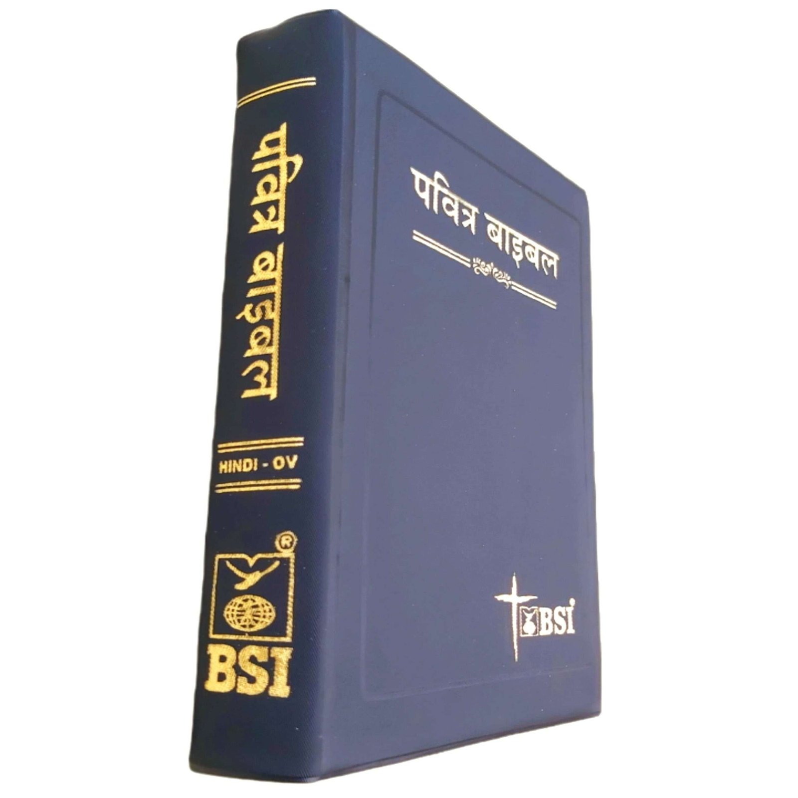 hindi bible online