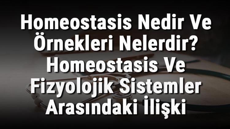 homeostasis örnekleri