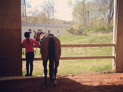 horse boarding nova scotia