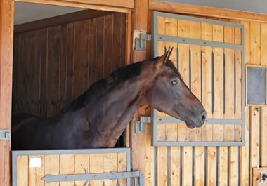 horse stable pronunciation