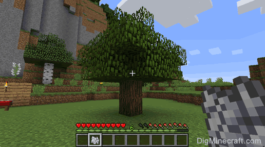 how do you grow a tree in minecraft